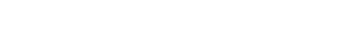 Fly Horizons