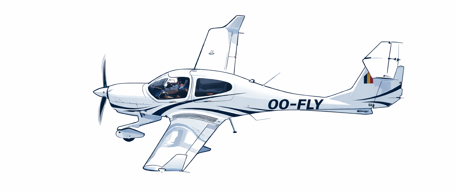 Avion Fly Horizons en vol